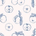 Vector seamless pattern with apples. Hand drawn textures. Elegant seamless botanical pattern Royalty Free Stock Photo
