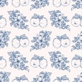 Vector seamless pattern with apples. Hand drawn textures. Elegant seamless botanical pattern Royalty Free Stock Photo