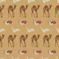 Vector seamless pattern with arabian one-humped camel Royalty Free Stock Photo