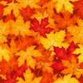 Vector seamless pattern with autumn maple leaves.