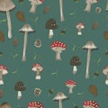 Vector seamless pattern background with mushrooms. Green background.