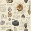 Seamless pattern with ancient ammonite shells and trilobites