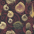 Seamless Pattern Background With Photo Of Ancient Ammonite Shells