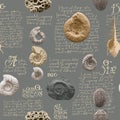 Seamless pattern with ancient ammonite shells and trilobites