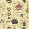 Seamless pattern with ancient ammonite shells and trilobites