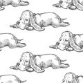 Vector seamless pattern with basset hound puppies. Hand drawn il Royalty Free Stock Photo