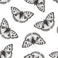 Vector seamless pattern with beautiful butterfly in engraving style. Hand drawn texture with nymphalid isolated on white Royalty Free Stock Photo