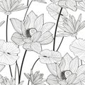 Vector seamless pattern with beautiful lotus flower. Black and w Royalty Free Stock Photo