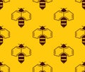 Vector seamless pattern of bee logo on honey background Royalty Free Stock Photo