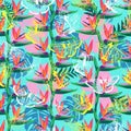 Pattern with the bird of paradise flower Strelitzia and butterflies exotic background Royalty Free Stock Photo