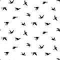 Vector seamless pattern with birds Royalty Free Stock Photo