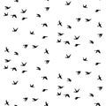 Vector seamless pattern with birds Royalty Free Stock Photo