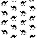 Vector seamless pattern of black camel silhouette