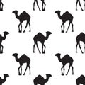 Vector seamless pattern with black camel silhouettes on white background Royalty Free Stock Photo