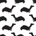 Vector seamless pattern with black camel silhouettes on white background