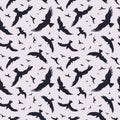 Vector seamless pattern with black flying crows on a light background, good for design, cards, autumn posters, packaging Royalty Free Stock Photo