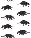 Vector seamless pattern of black hand draw raccoon