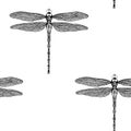 Vector seamless pattern from black hand drawing dragonfly Royalty Free Stock Photo