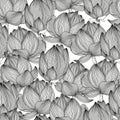 Vector seamless pattern with black hand drawn abstract lotus flowers isolated on white background. Monochrome floral illustration Royalty Free Stock Photo