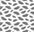 Vector seamless pattern of black ink hand drawn palm tree leaves silhouette isolated on white Royalty Free Stock Photo