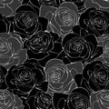 Vector seamless pattern. Black outline rose flowers on dark background Royalty Free Stock Photo