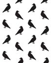 Vector seamless pattern of black raven