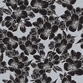 Vector seamless pattern with black sakura flowers. Cherry blossom. Royalty Free Stock Photo