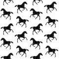 Vector seamless pattern of black sketch horse foal Royalty Free Stock Photo