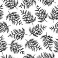 Vector seamless pattern with black thuja on white background