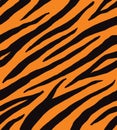 Vector seamless pattern of black tiger print