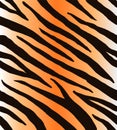 Vector seamless pattern of black tiger stripes Royalty Free Stock Photo
