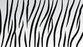 Vector seamless pattern of black tiger stripes isolated on white gradient background Royalty Free Stock Photo