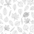 Vector seamless pattern of black and white leaves