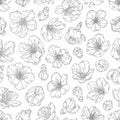 Vector seamless pattern with blooming apricot flowers Royalty Free Stock Photo