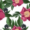 Vector seamless pattern with blue berries branch with leaves and red peony flowers.