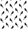 Vector seamless pattern of blue jay bird Royalty Free Stock Photo