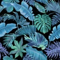 Vector seamless pattern with blue tropical leaves Royalty Free Stock Photo