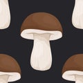 Vector Seamless Pattern with Bolete Mushroom on Black. Seamless Texture, Hand Drawn Cartoon Bolete Mushrooms. Design