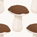 Vector Seamless Pattern with Bolete Mushroom on White. Seamless Texture, Hand Drawn Cartoon Bolete Mushrooms. Design