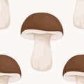 Vector Seamless Pattern with Bolete Mushroom on White. Seamless Texture, Hand Drawn Cartoon Bolete Mushrooms. Design