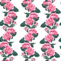 Vector seamless pattern with briar. Wild rose rosa canina dog rose garden flowers.