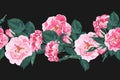 Vector seamless pattern with briar. Wild rose rosa canina dog rose garden flowers. Royalty Free Stock Photo