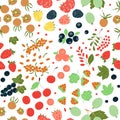Vector seamless pattern of bright berries