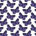 Vector seamless pattern with bright butterflies. Hand drawn texture design