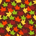 Vector seamless pattern with bright golden, yellow, orange, red and green maple leaves on brown background. Autumn leaf fall. Royalty Free Stock Photo