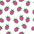 Vector seamless pattern with bright pink raspberries Royalty Free Stock Photo