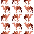 Vector seamless pattern with brown camel on white background.