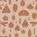 Vector seamless pattern with brown grunge insects, moths, bugs, ants, dragonfly. Trendy endless background. Royalty Free Stock Photo