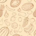 Vector Seamless Pattern of Brown Sketch Fruits Royalty Free Stock Photo