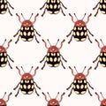 Seamless pattern with bugs, insects background